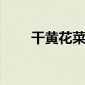干黄花菜怎么炒好吃（你学会了吗）