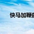 快马加鞭的解释（快马加鞭什么意思）