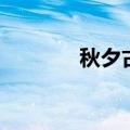 秋夕古诗的意思（秋夕译文）