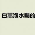 白蒿泡水喝的功效（经常喝白蒿泡水的好处）