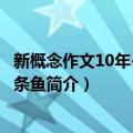 新概念作文10年-好大一条鱼（关于新概念作文10年-好大一条鱼简介）