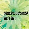 城里的月光把梦照亮请守护他身旁什么意思（城里的月光歌曲介绍）