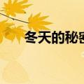 冬天的秘密歌词（冬天的秘密歌简介）