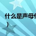 什么是声母什么是韵母（关于声母韵母的介绍）