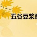 五谷豆浆配方（总有一种配方适合你）