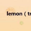 lemon（tree歌词 lemon tree歌简介）