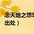 念天地之悠悠下一句是什么（念天地之悠悠的出处）