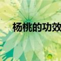 杨桃的功效是什么（杨桃的功效与作用）