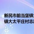 新民市前当堡镇大太平庄村志愿服务队（关于新民市前当堡镇大太平庄村志愿服务队简介）