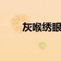 灰喉绣眼鸟（关于灰喉绣眼鸟介绍）