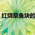 红烧草鱼块的家常做法（怎么做红烧草鱼块）