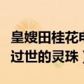 皇嫂田桂花电视剧大结局（皇嫂将玉佩送给已过世的灵珠）