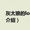 灰太狼的love魔法（关于灰太狼的love魔法介绍）