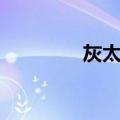 灰太狼（关于灰太狼介绍）