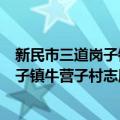 新民市三道岗子镇牛营子村志愿服务队（关于新民市三道岗子镇牛营子村志愿服务队简介）