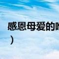 感恩母爱的唯美句子（感恩母爱最朴实的句子）