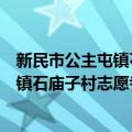 新民市公主屯镇石庙子村志愿者服务队（关于新民市公主屯镇石庙子村志愿者服务队简介）