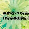 新水稻57H突变基因的定位克隆与机能解析（关于新水稻57H突变基因的定位克隆与机能解析简介）