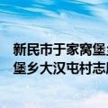 新民市于家窝堡乡大汉屯村志愿服务队（关于新民市于家窝堡乡大汉屯村志愿服务队简介）