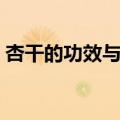杏干的功效与作用及食用方法（杏干的好处）