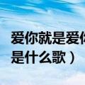 爱你就是爱你是哪首歌的歌词（爱你就是爱你是什么歌）