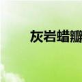 灰岩蜡瓣花（关于灰岩蜡瓣花介绍）