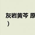 灰岩黄芩 原变种（关于灰岩黄芩 原变种介绍）