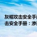 灰帽攻击安全手册：渗透测试与漏洞分析技术（关于灰帽攻击安全手册：渗透测试与漏洞分析技术介绍）