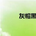 灰帽黑客（关于灰帽黑客介绍）