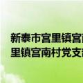 新泰市宫里镇宫南村党支部党员志愿服务队（关于新泰市宫里镇宫南村党支部党员志愿服务队简介）