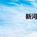 新河乡（关于新河乡简介）
