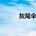 灰尾伞鸟（关于灰尾伞鸟介绍）