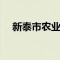 新泰市农业局（关于新泰市农业局简介）