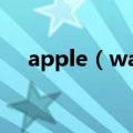 apple（watch5 功能介绍 有什么颜色）