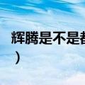 辉腾是不是都是六缸的（大众辉腾的简单介绍）