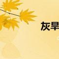 灰旱獭（关于灰旱獭介绍）