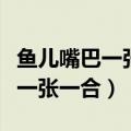 鱼儿嘴巴一张一合是干什么（为什么鱼儿嘴巴一张一合）
