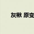 灰楸 原变型（关于灰楸 原变型介绍）