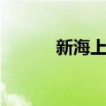 新海上花（关于新海上花简介）