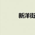 新洋街道（关于新洋街道简介）