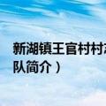 新湖镇王官村村志愿服务队（关于新湖镇王官村村志愿服务队简介）