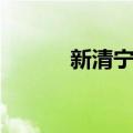 新清宁片（关于新清宁片简介）