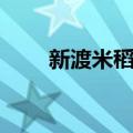 新渡米稻吉（关于新渡米稻吉简介）