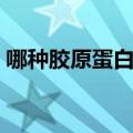 哪种胶原蛋白比较好（什么胶原蛋白比较好）