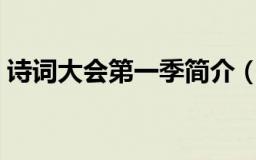 诗词大会第一季简介（诗词大会第一季资料）
