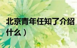 北京青年任知了介绍（北京青年任知了介绍有什么）