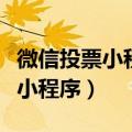 微信投票小程序怎么弄（如何用微信创建投票小程序）