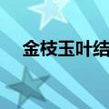 金枝玉叶结局（金枝玉叶的结局是什么）