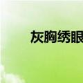 灰胸绣眼鸟（关于灰胸绣眼鸟介绍）