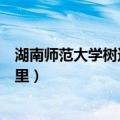 湖南师范大学树达学院简介（湖南师范大学树达学院位于哪里）
